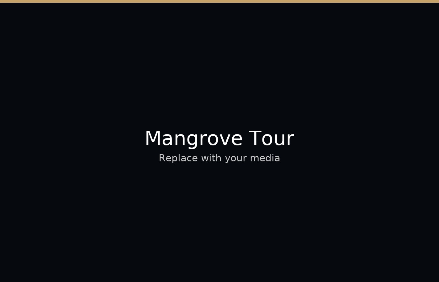 Mangrove Tour